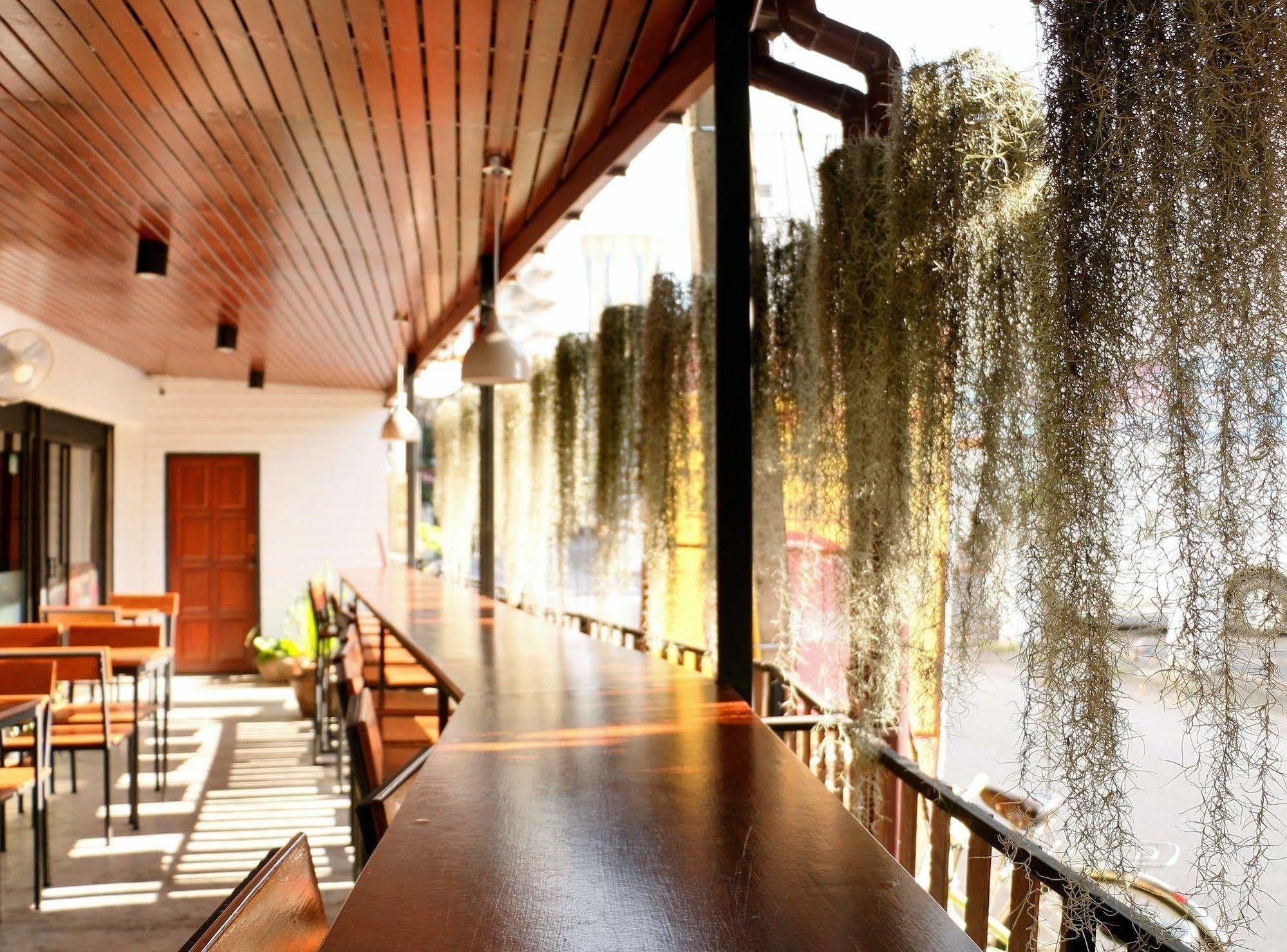 Zion Hostel 清邁 外观 照片